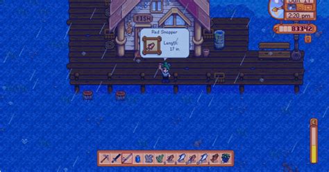 pargo colorado stardew valley